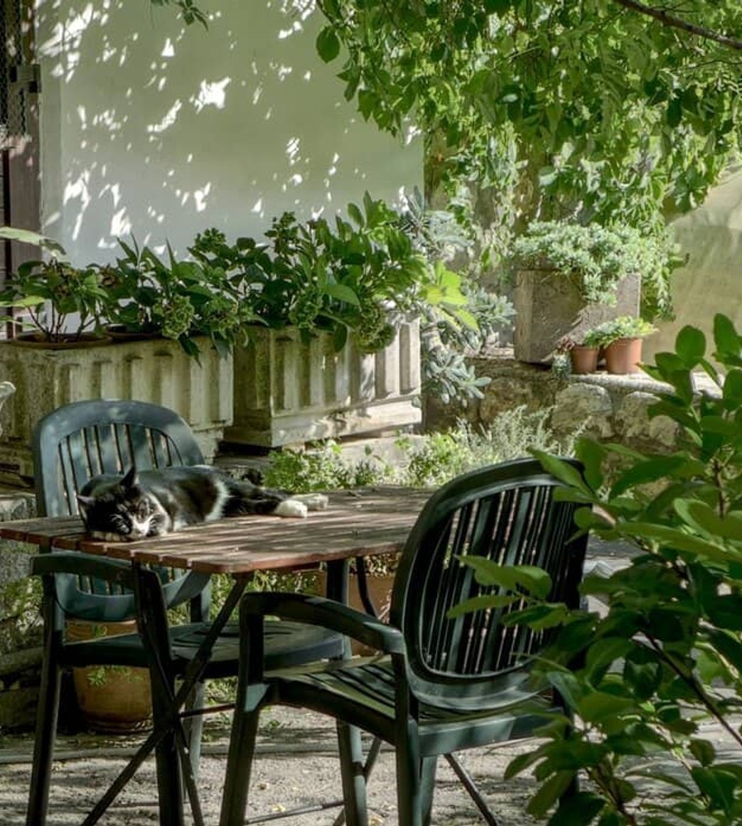 Residential garden and outdoor living space